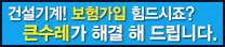 큰수레보험가입